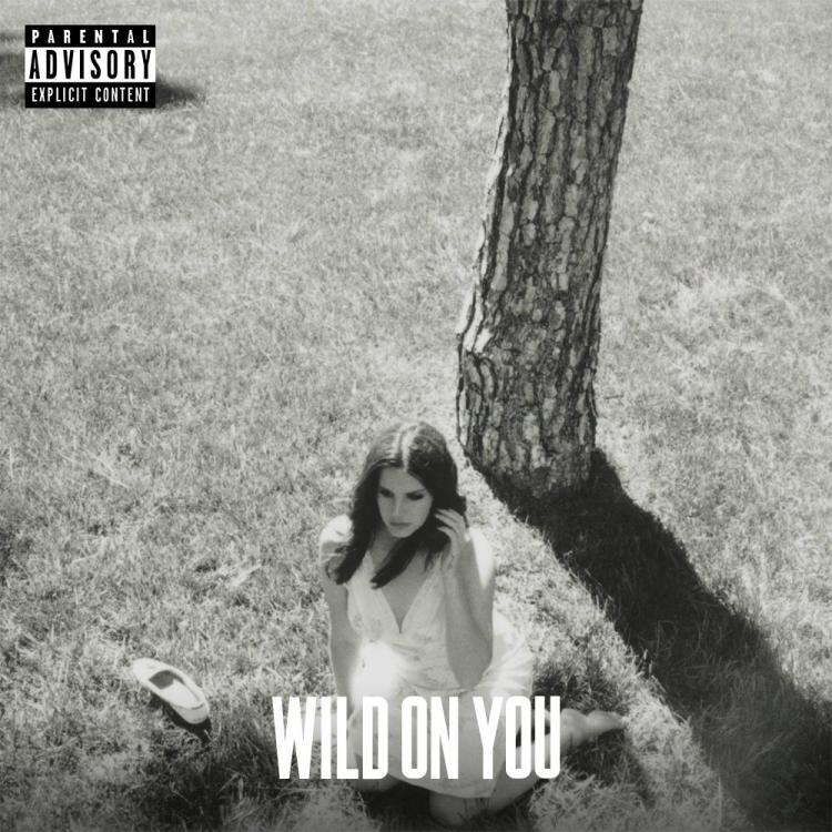 lana-del-rey-wild-on-you-single.jpg